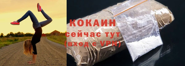 гашик Беломорск