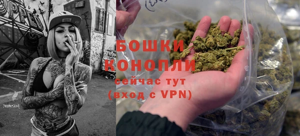 сатива Белокуриха