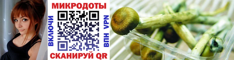 Псилоцибиновые грибы мухоморы  Киреевск 